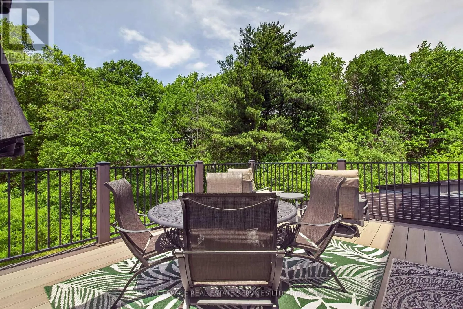 31 DORR COURT