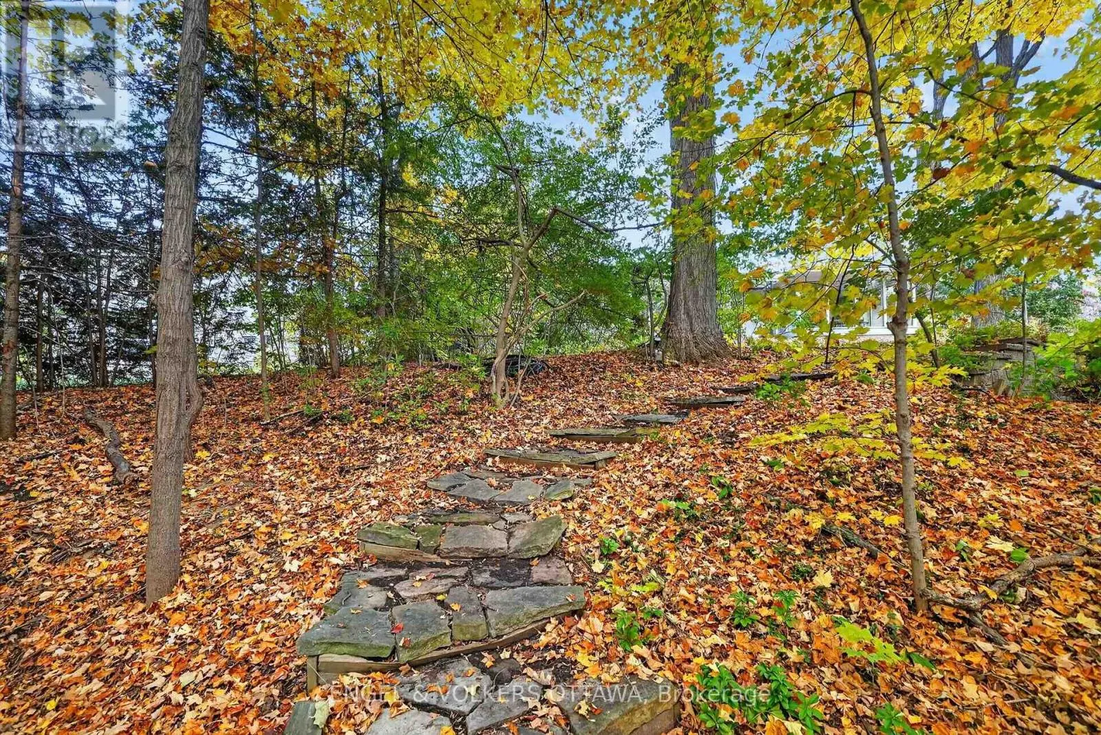 185 LAKEWAY DRIVE
