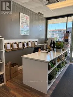6 - 139 GEORGE STREET N