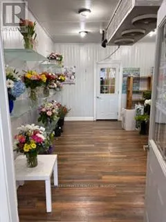 6 - 139 GEORGE STREET N