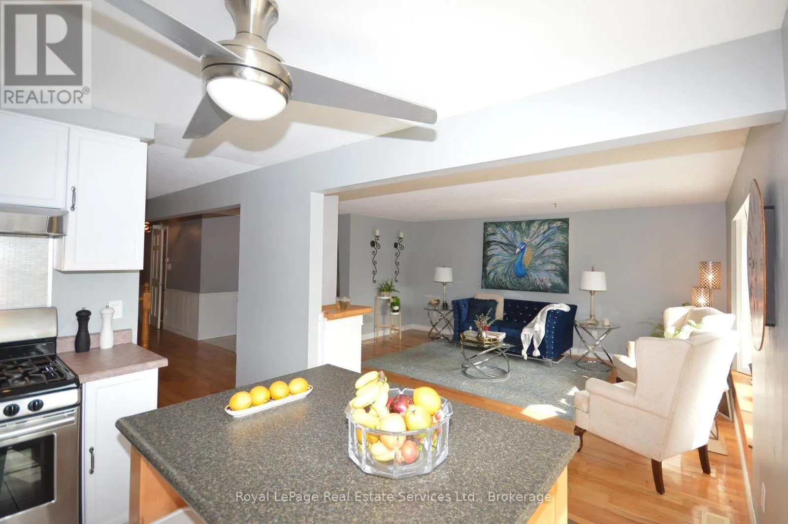 303 GRAND RIDGE DRIVE