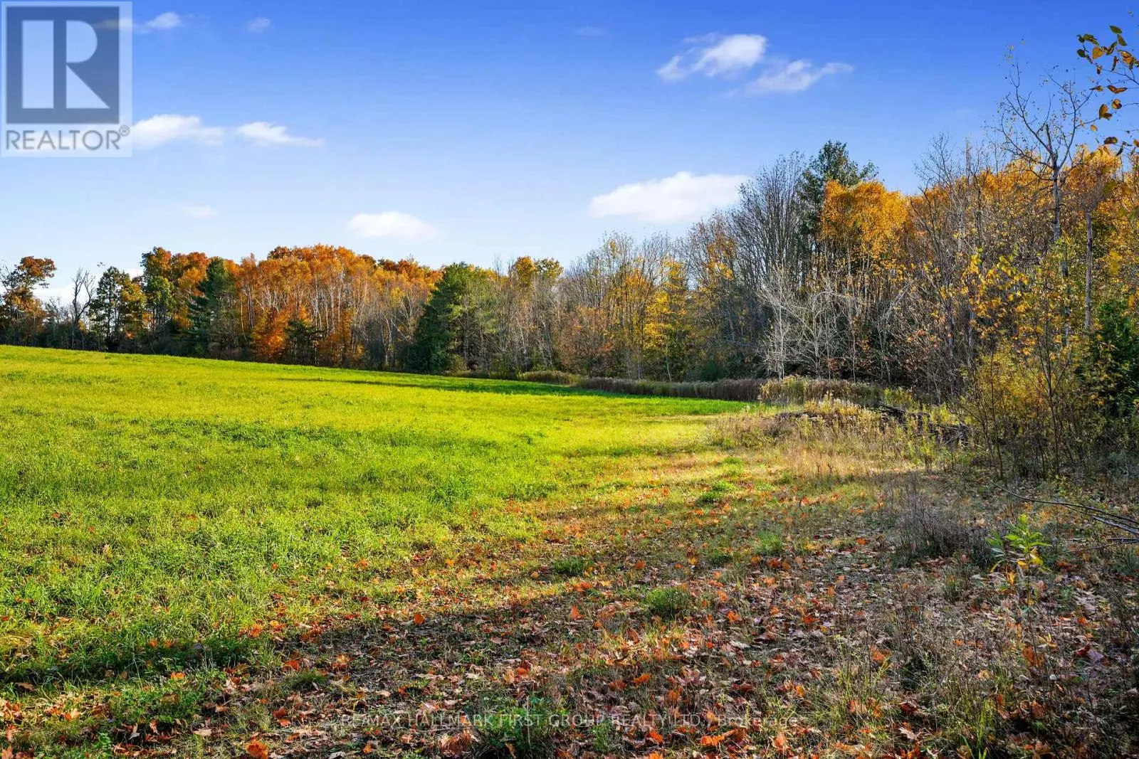 VACANT LAND AT 181 FORGET ROAD