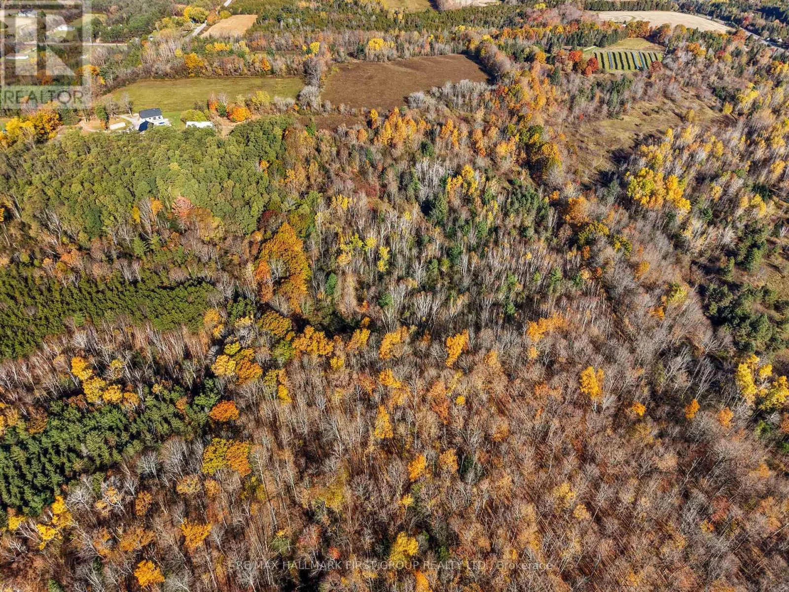 A PIPELINE ROAD
