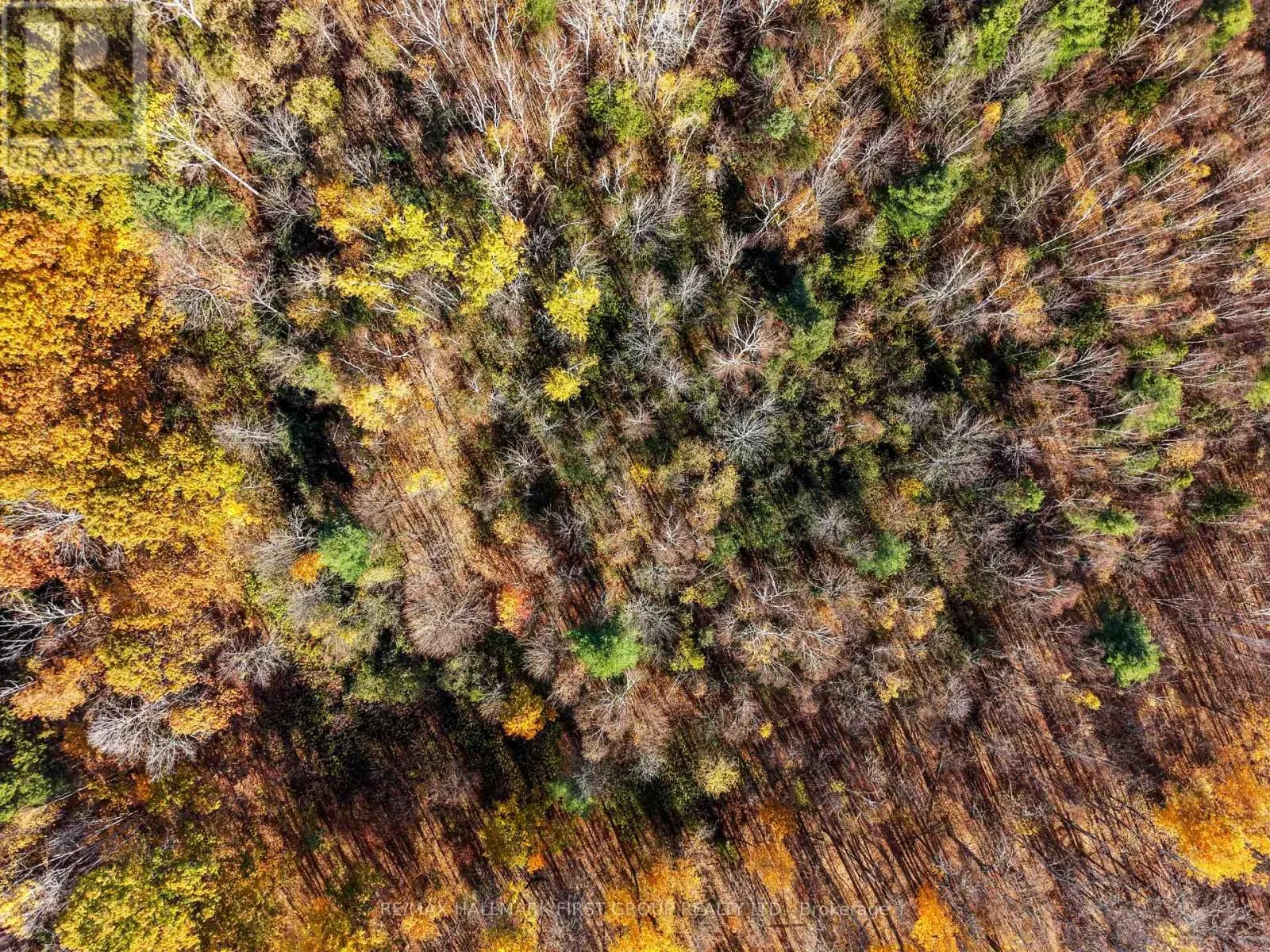 A PIPELINE ROAD