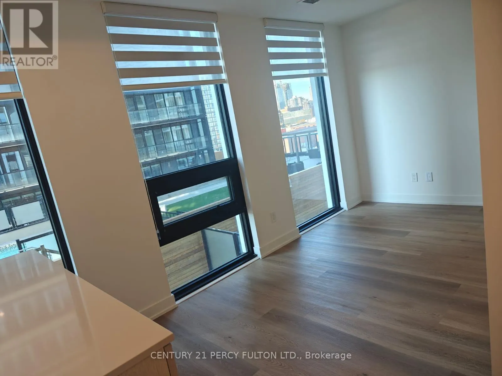 1017 - 101 JOHN STREET N