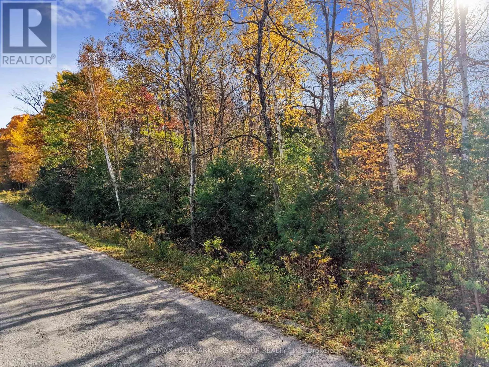 B2 PIPELINE ROAD