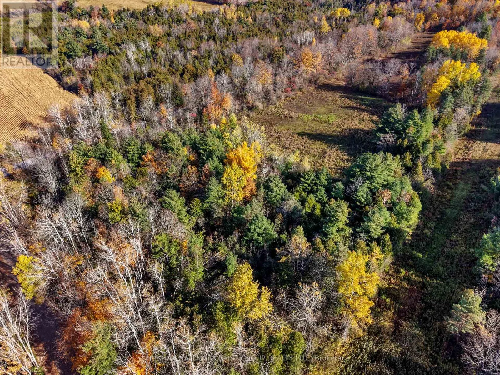 B2 PIPELINE ROAD