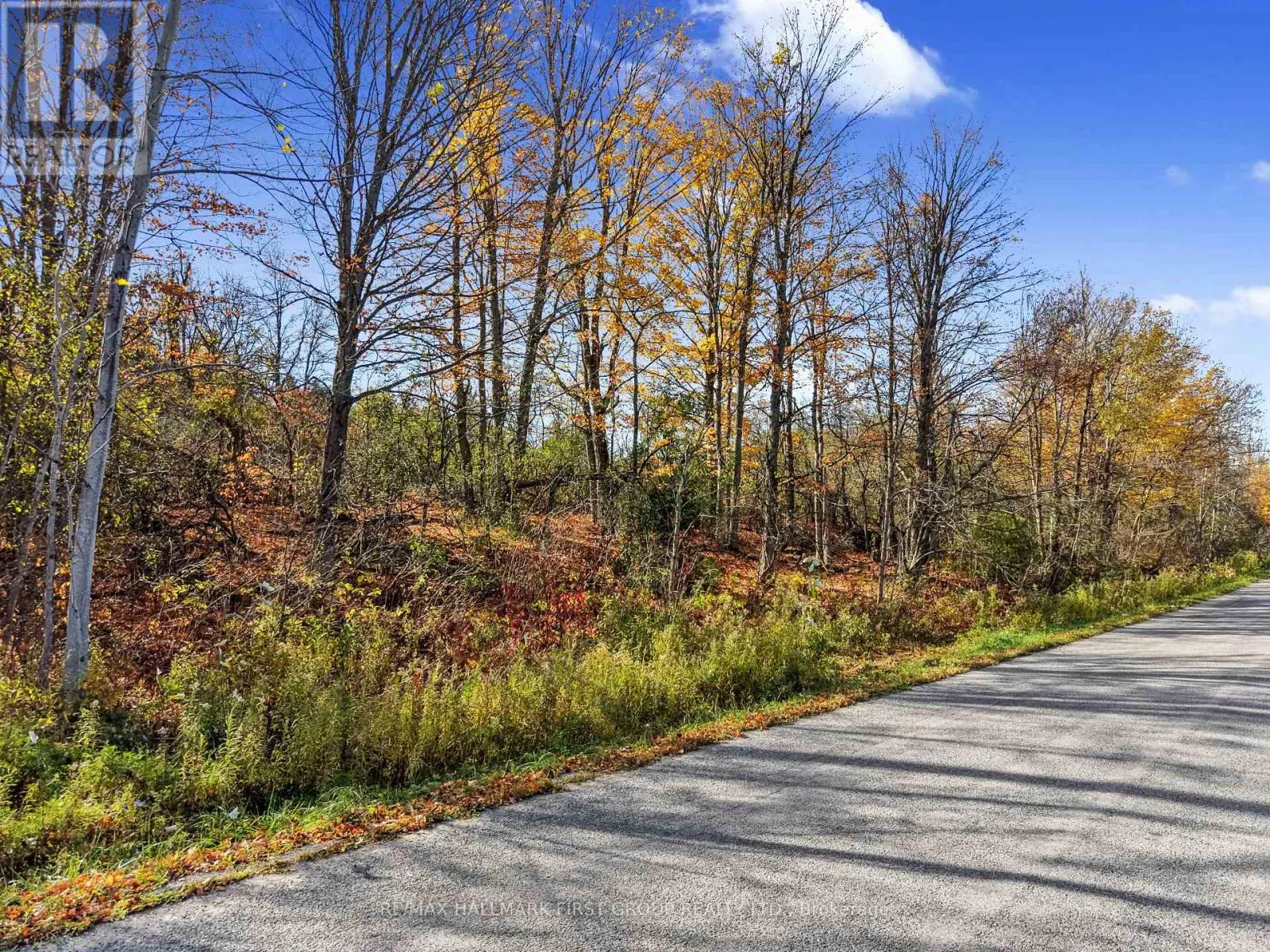 B2 PIPELINE ROAD