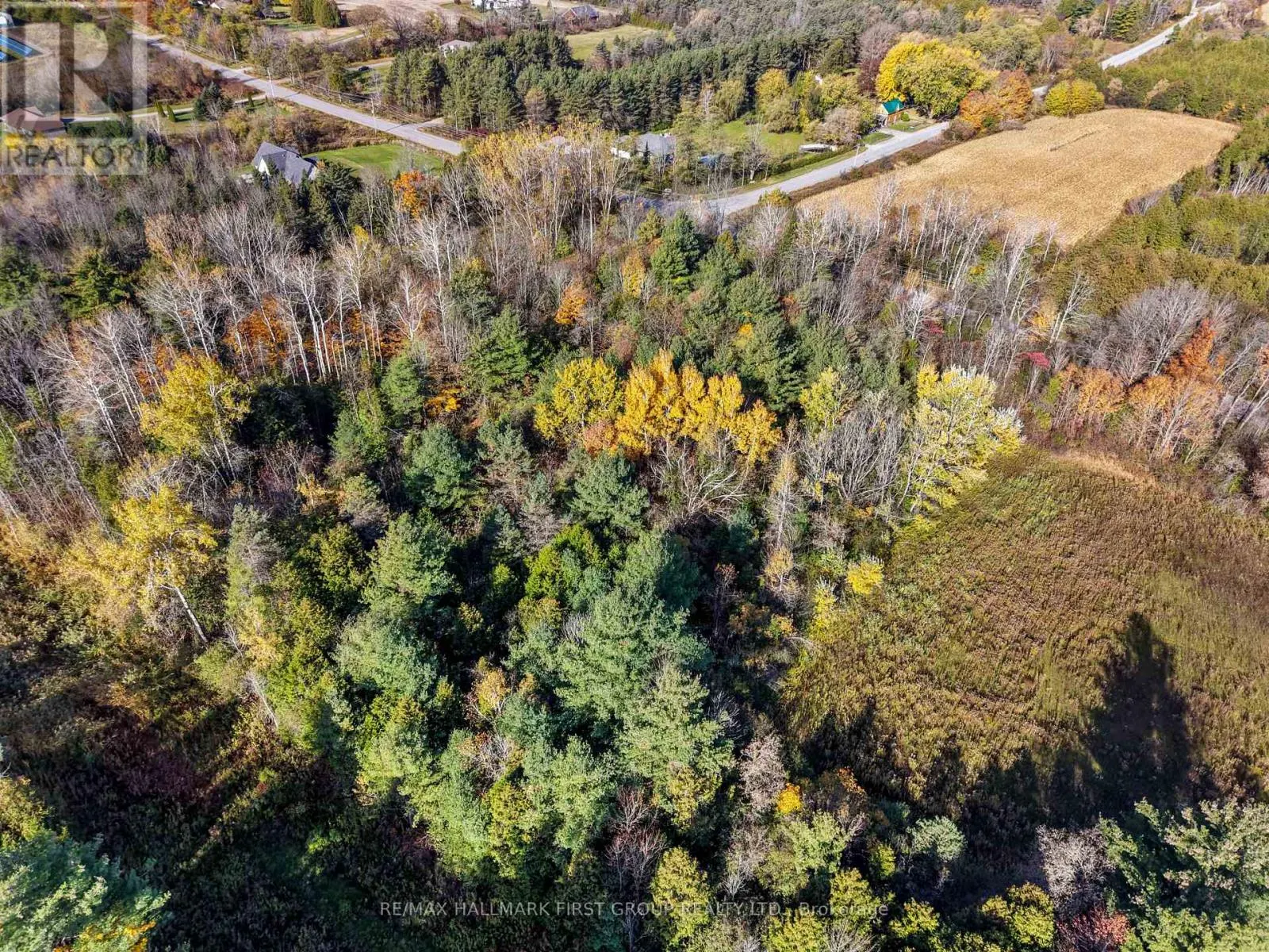 B2 PIPELINE ROAD