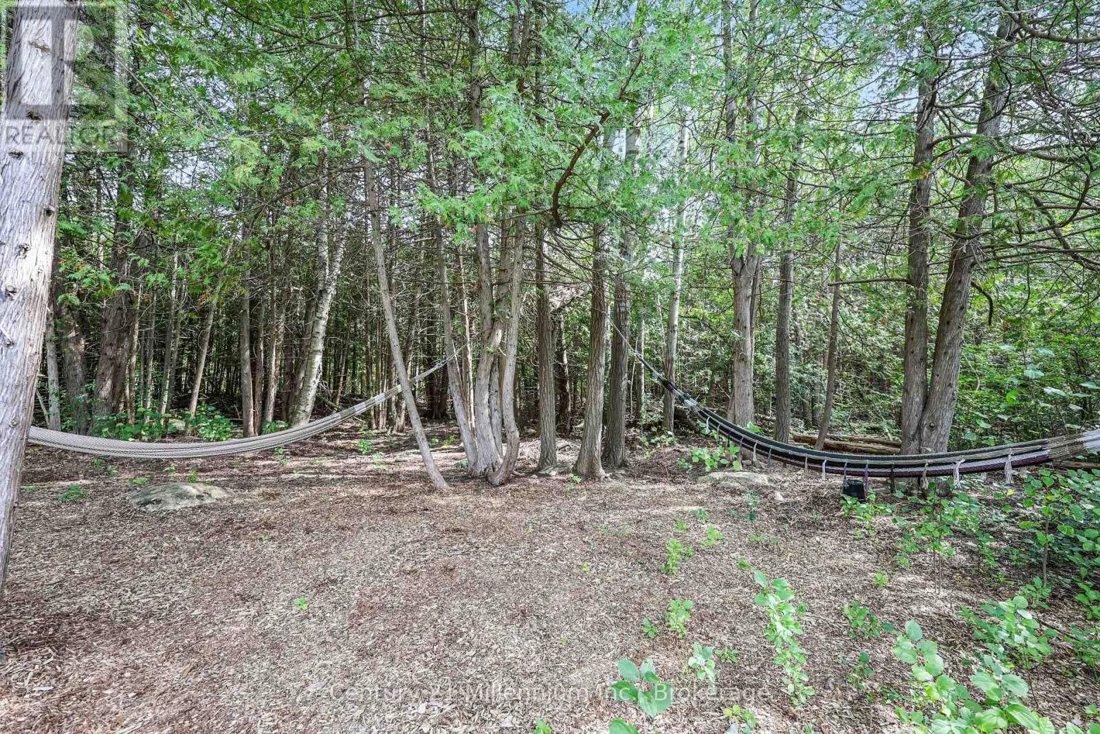 103 TEKIAH ROAD