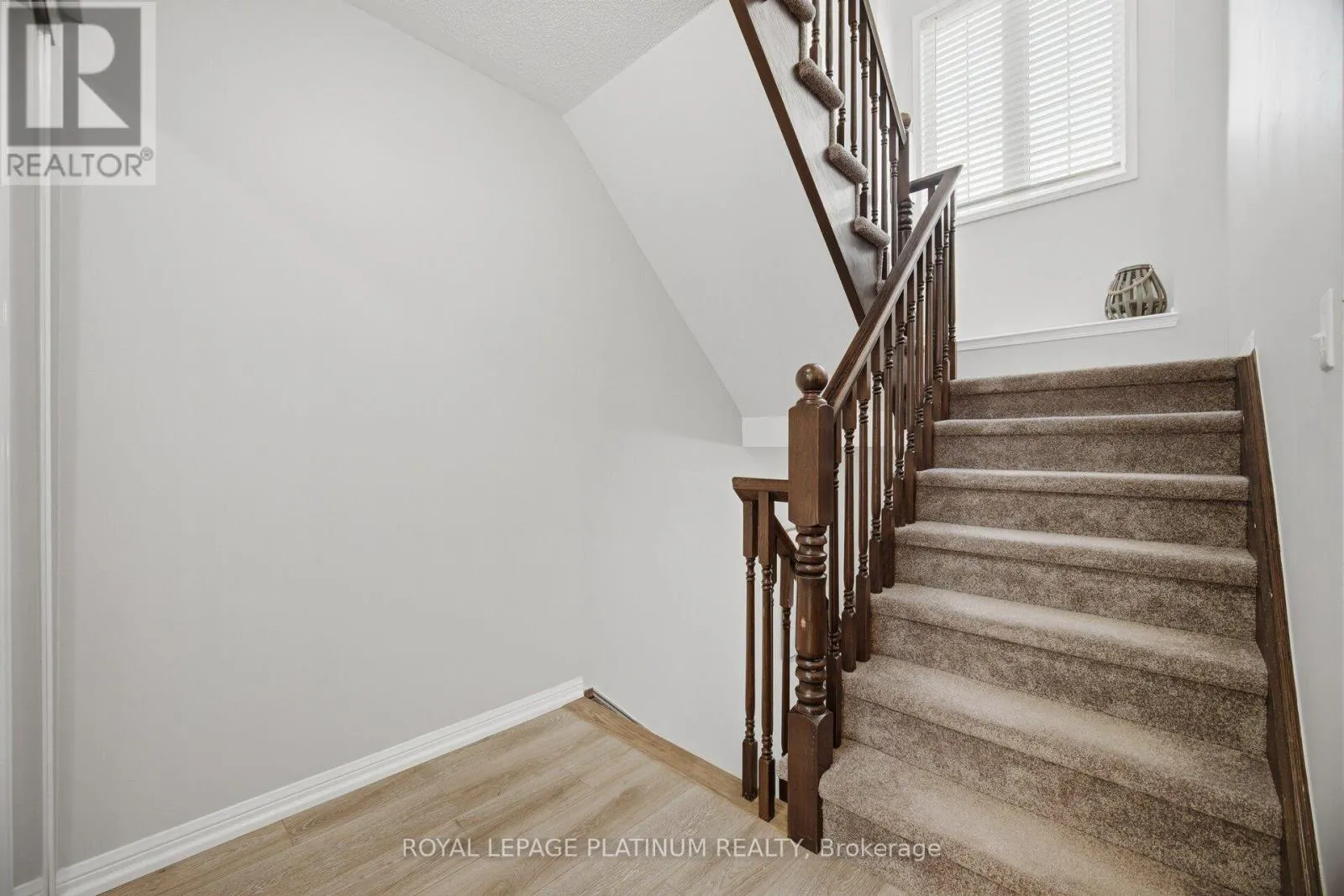 59 OHARA LANE