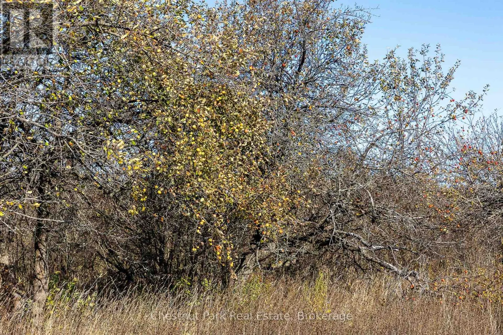 92 CRANE LAKE ROAD