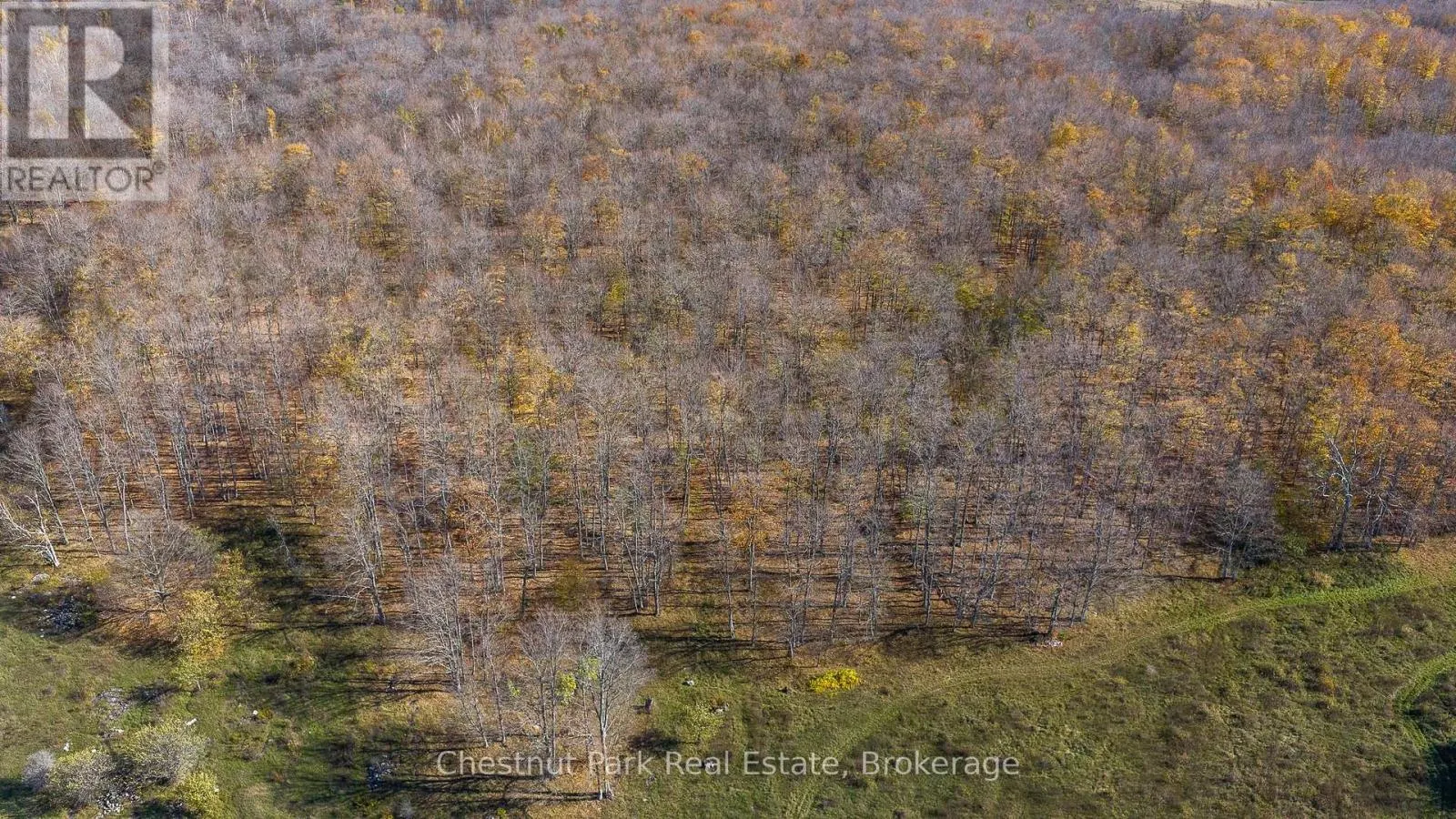 92 CRANE LAKE ROAD