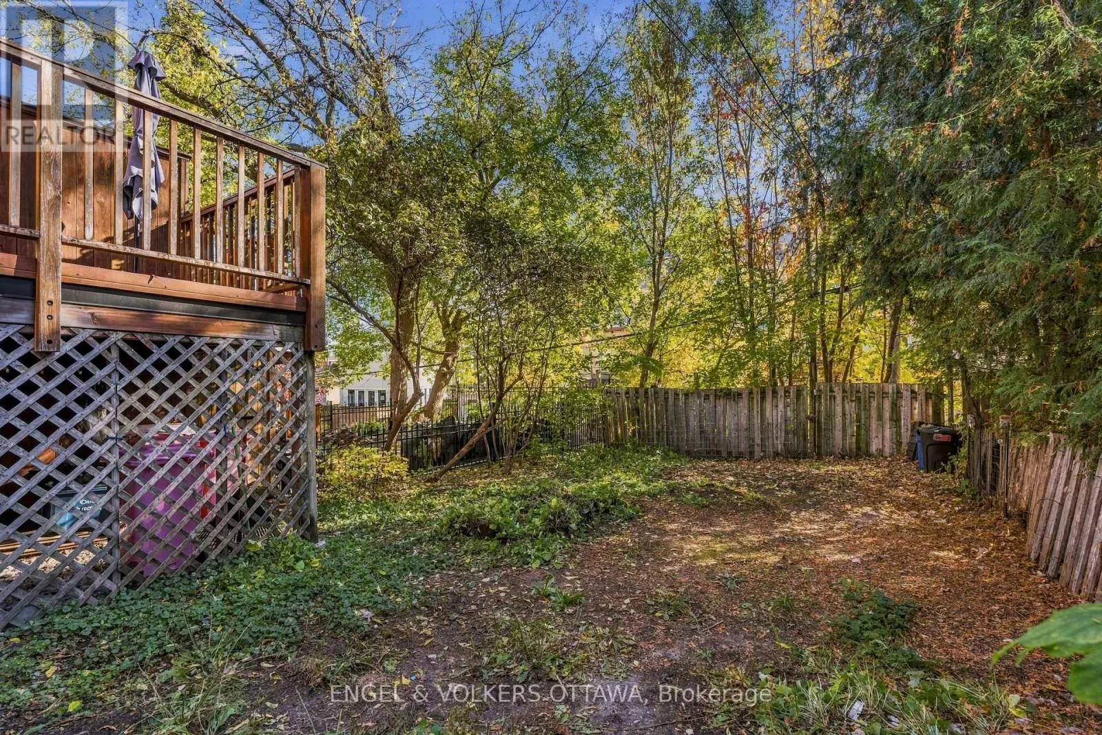 12 CLAREY AVENUE
