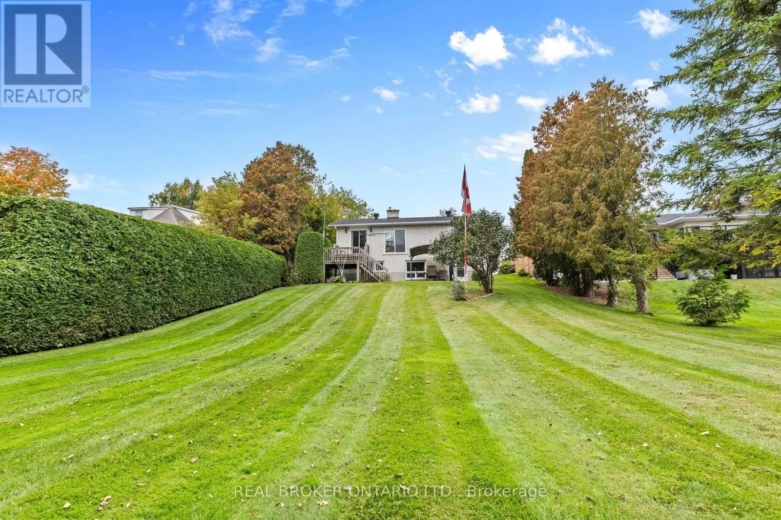 316 CLOTHIER STREET W