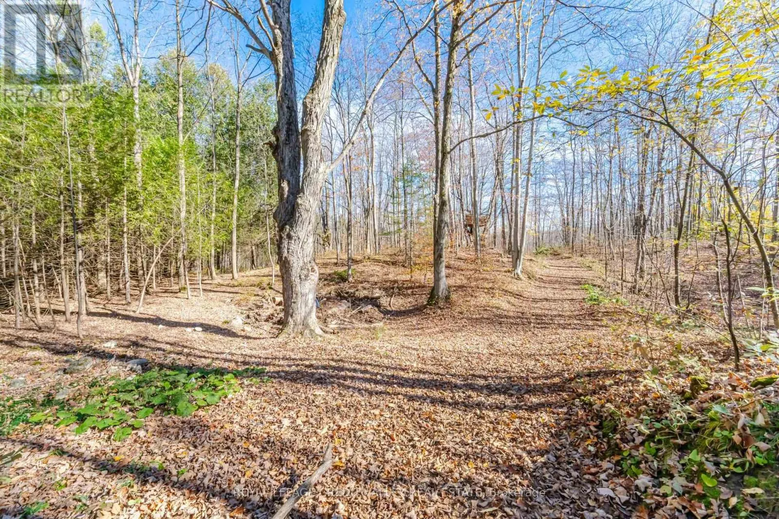 574291 SIDE ROAD 40