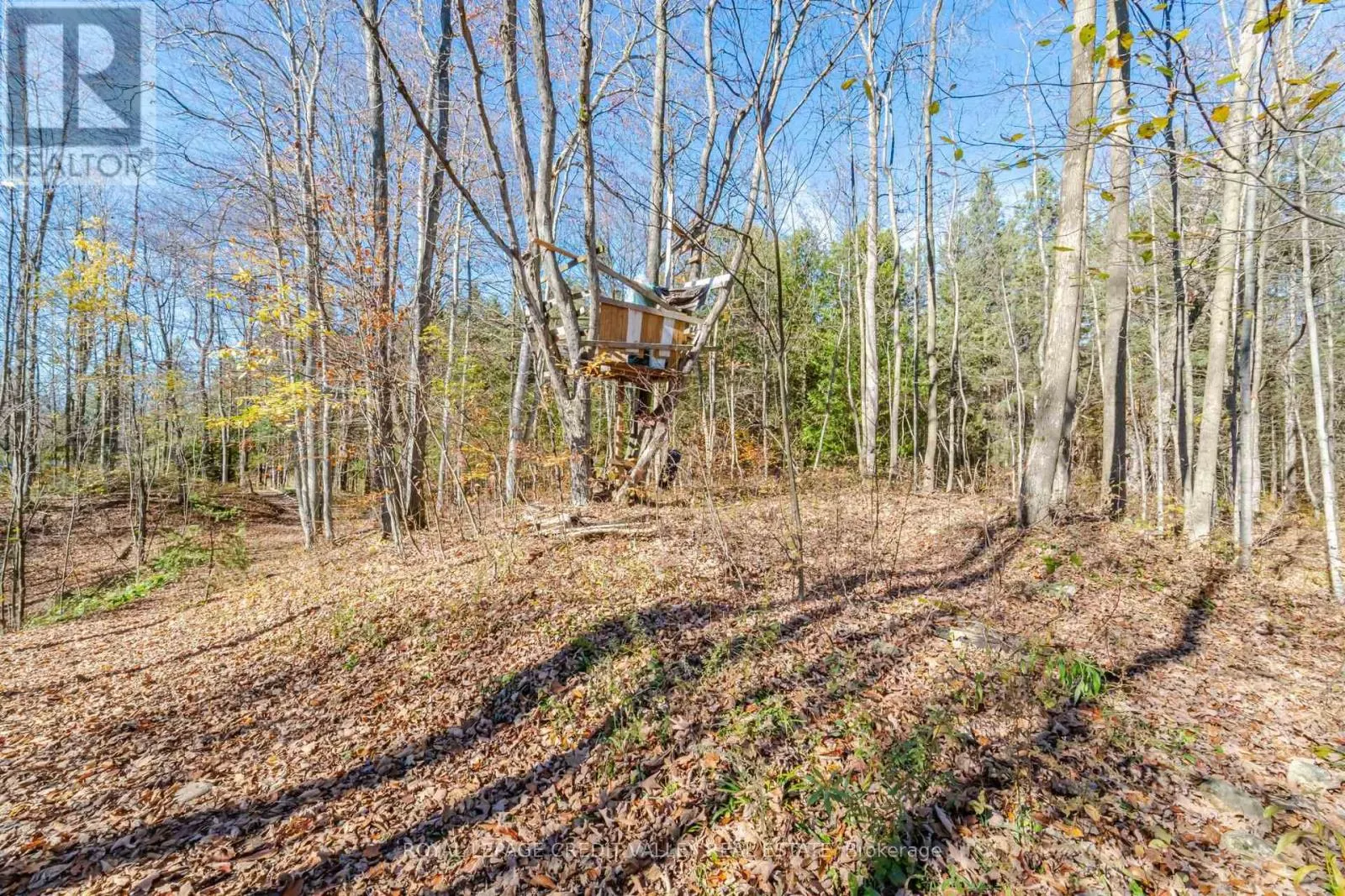 574291 SIDE ROAD 40