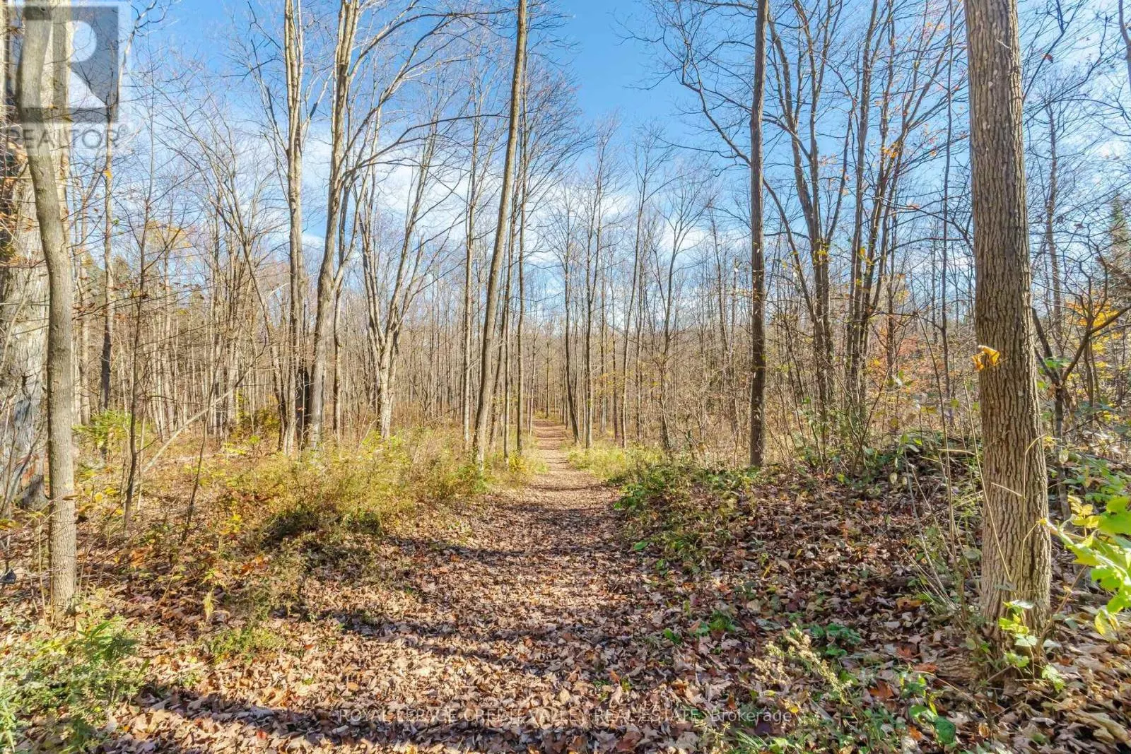 574291 SIDE ROAD 40