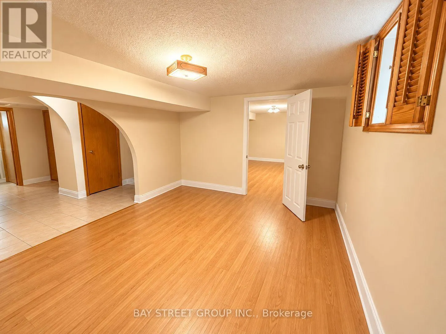LOWER LEVEL - 316 EAGLEWOOD DRIVE