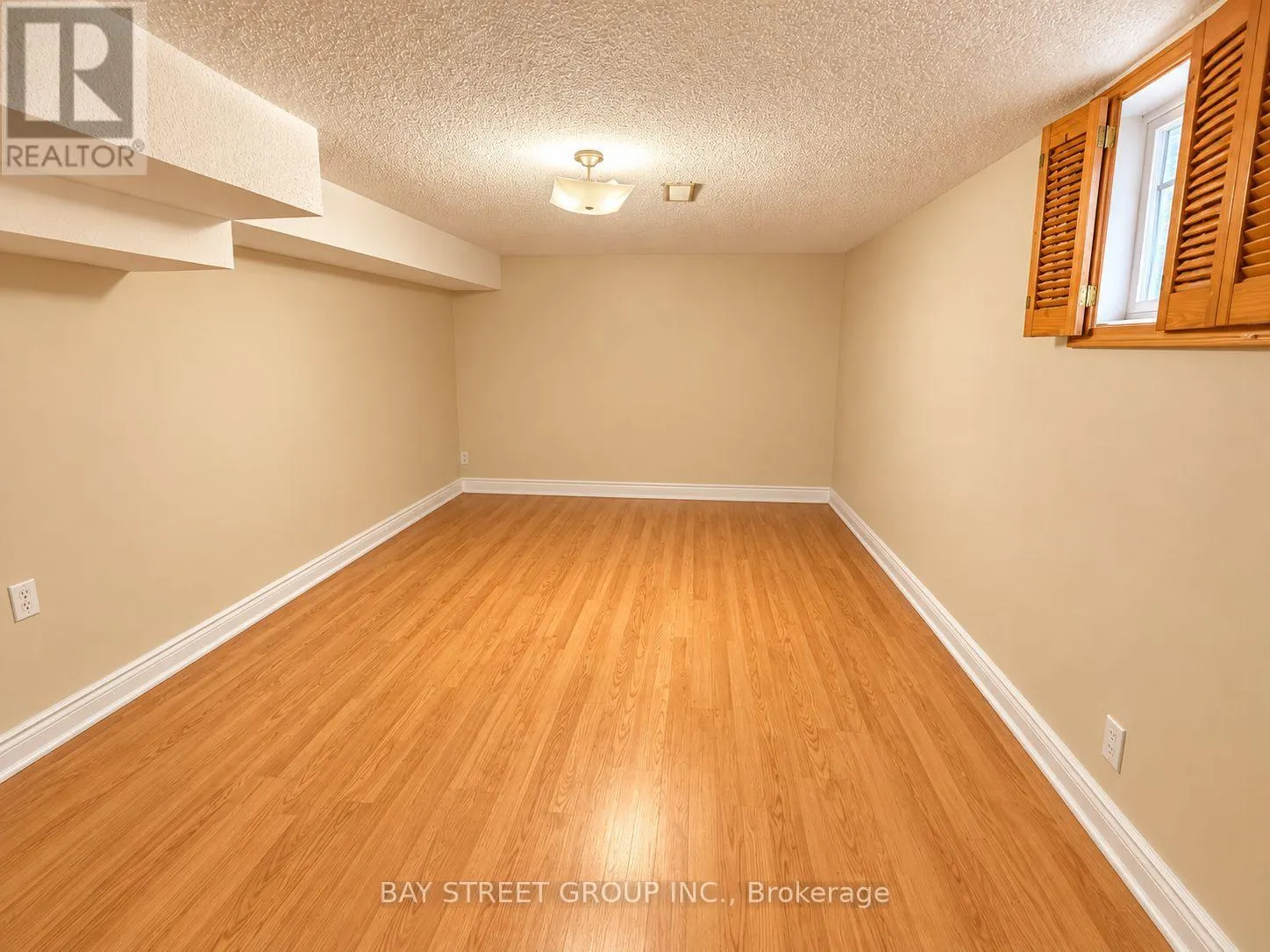 LOWER LEVEL - 316 EAGLEWOOD DRIVE