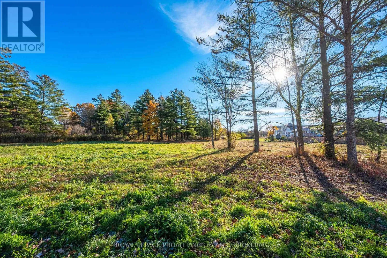 209 MILL POND PLACE