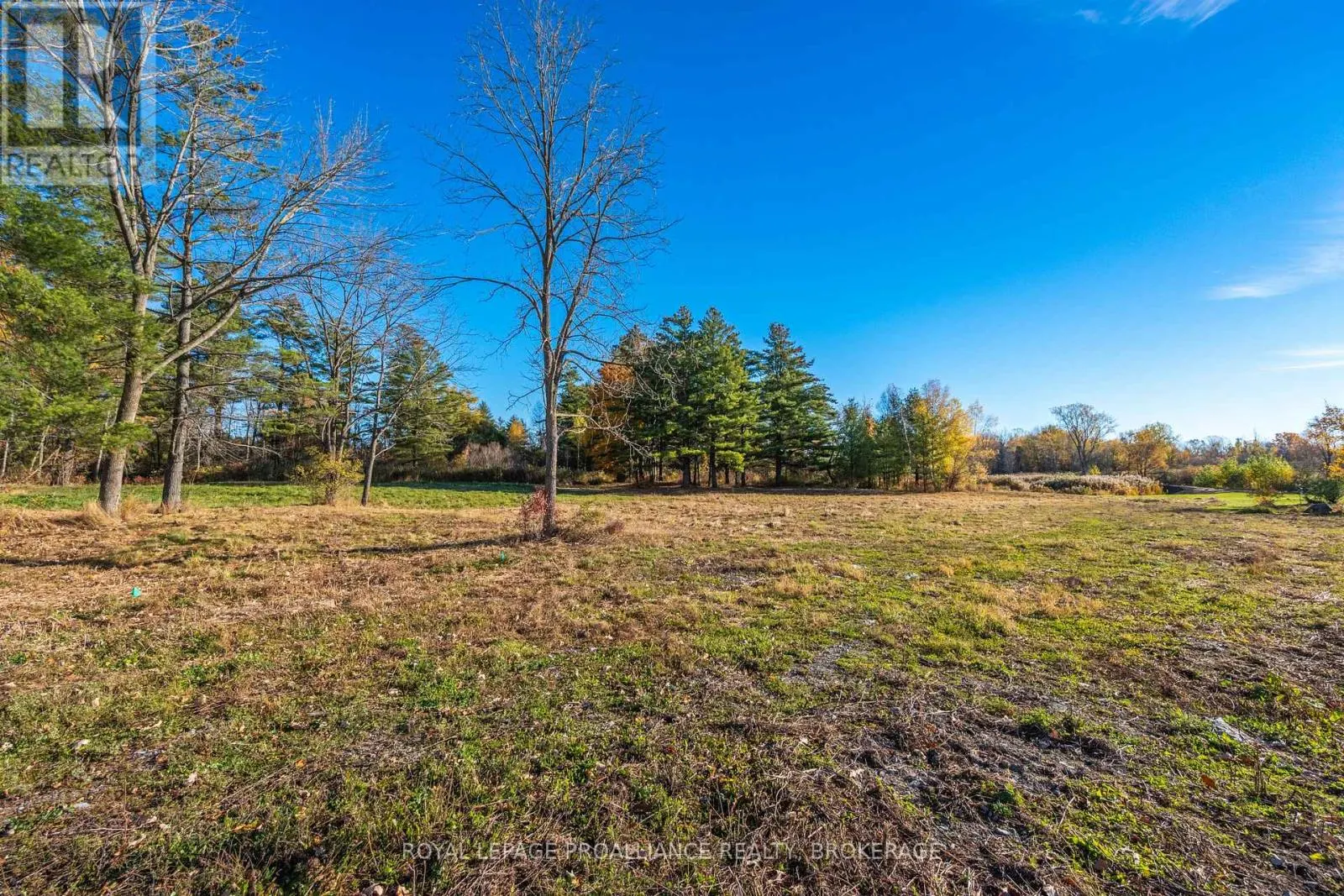 209 MILL POND PLACE