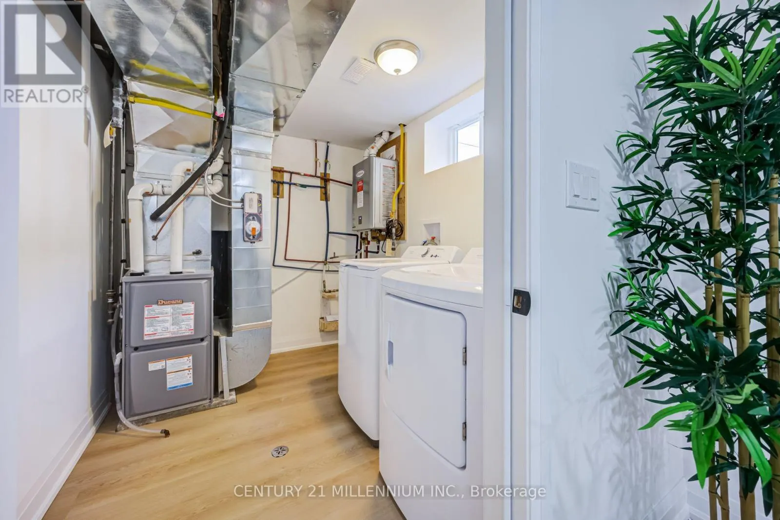 LOWER - 387 EAST 19TH STREET
