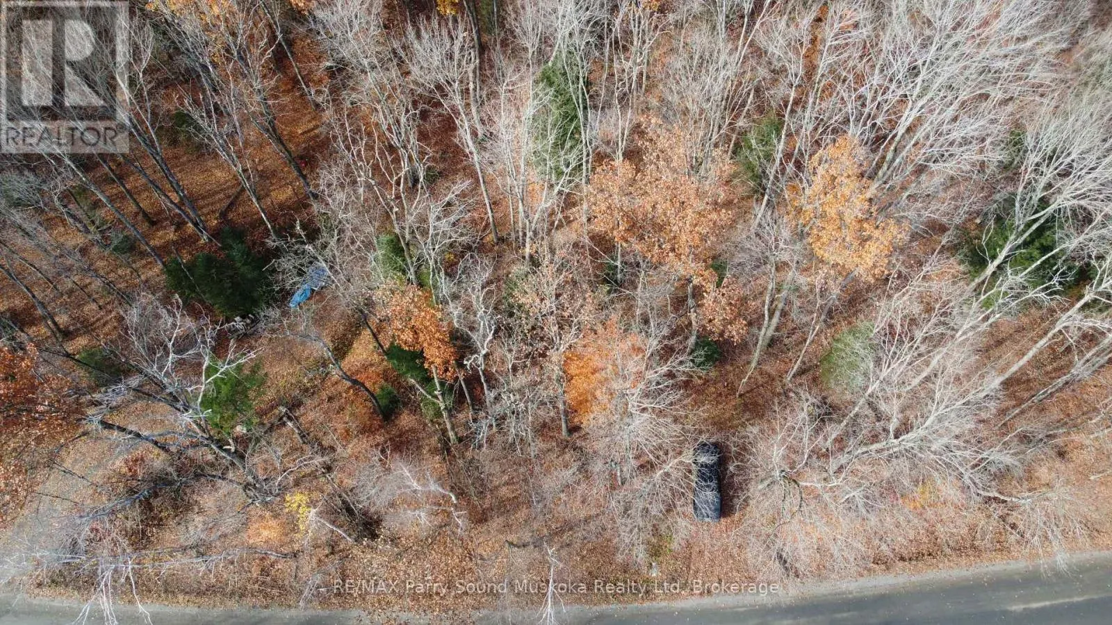 65 NORTH SANDY PLAINS ROAD