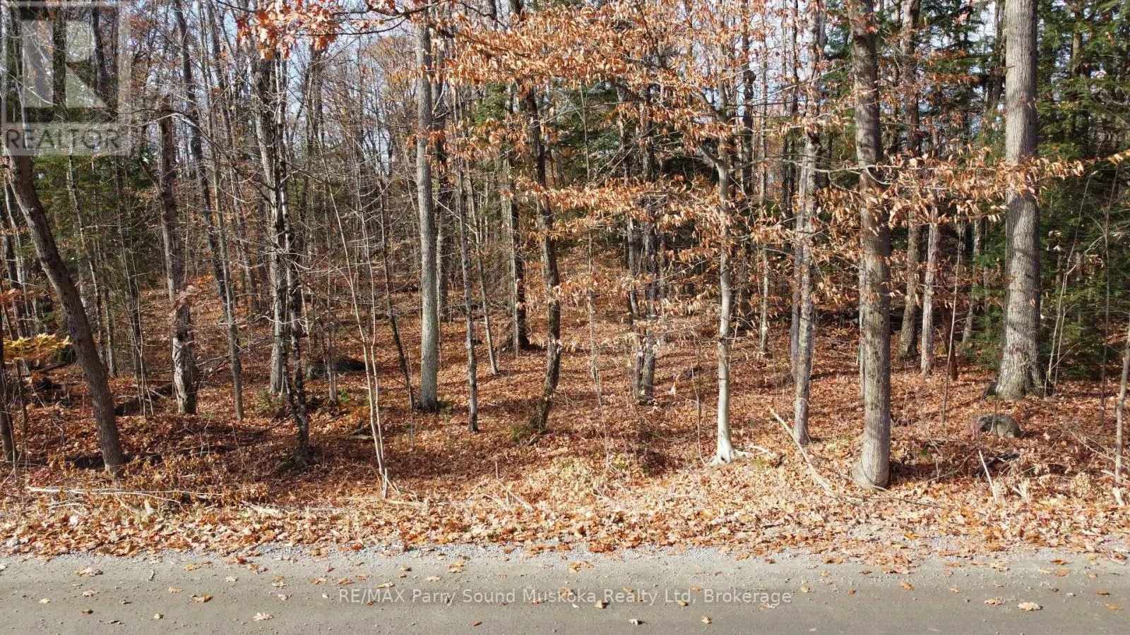 65 NORTH SANDY PLAINS ROAD