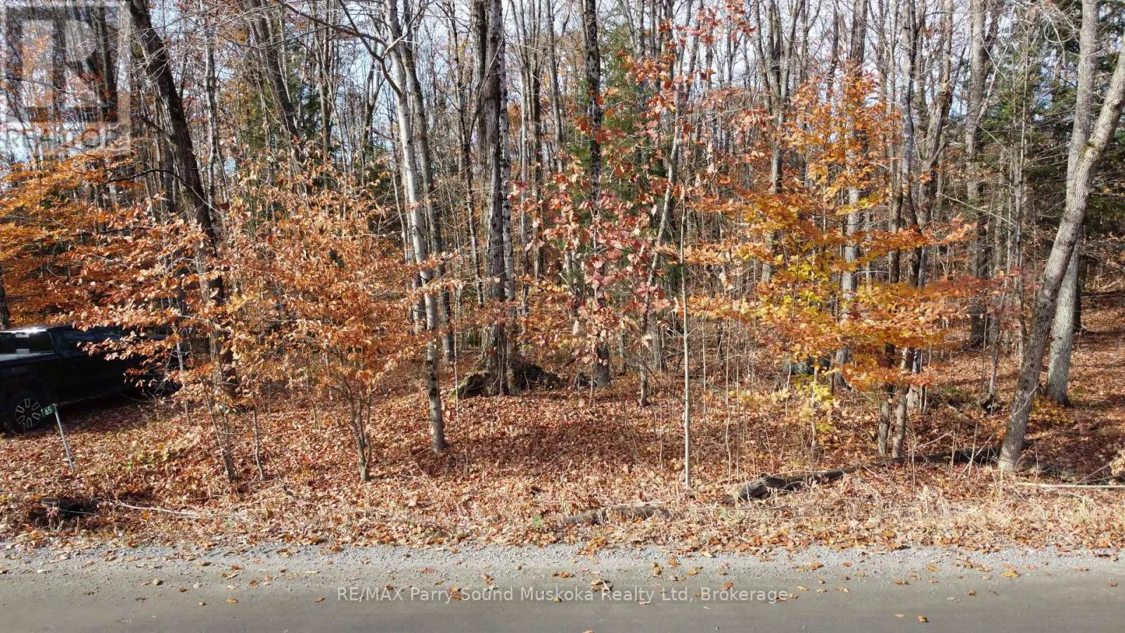 65 NORTH SANDY PLAINS ROAD