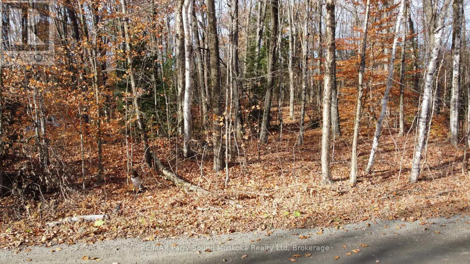 65 NORTH SANDY PLAINS ROAD