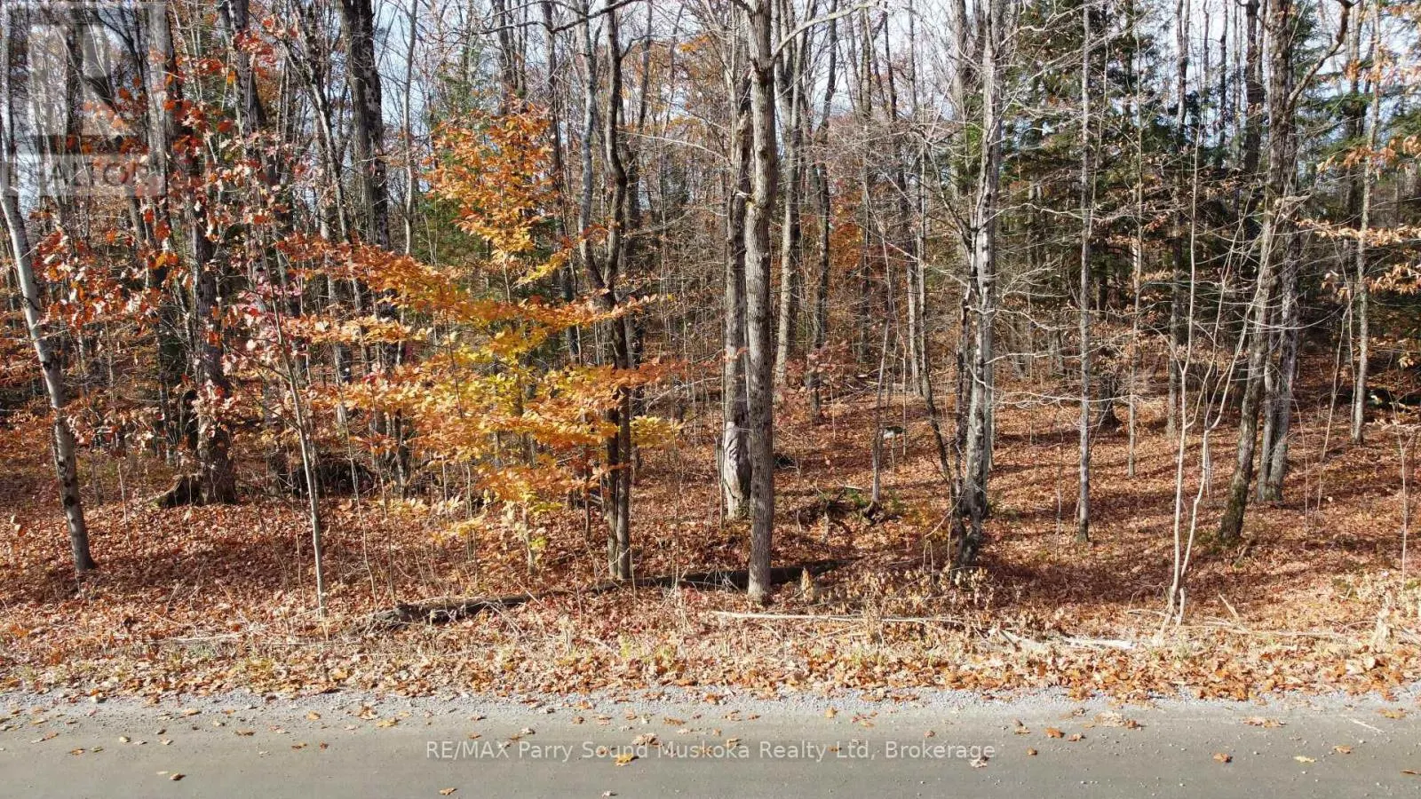 65 NORTH SANDY PLAINS ROAD