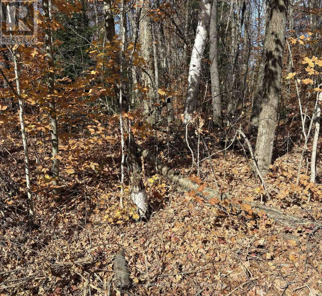 65 NORTH SANDY PLAINS ROAD