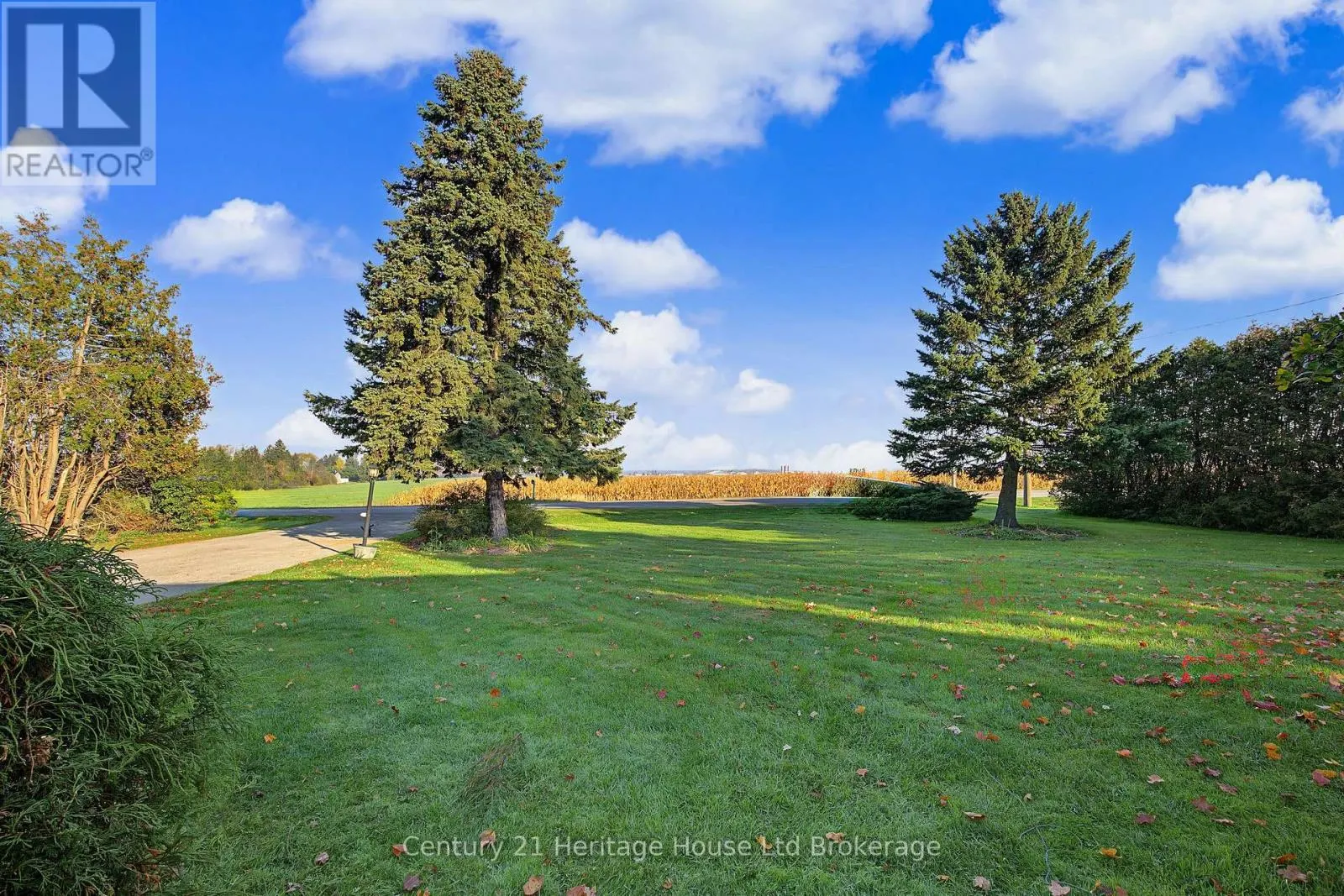 323634 MT ELGIN ROAD