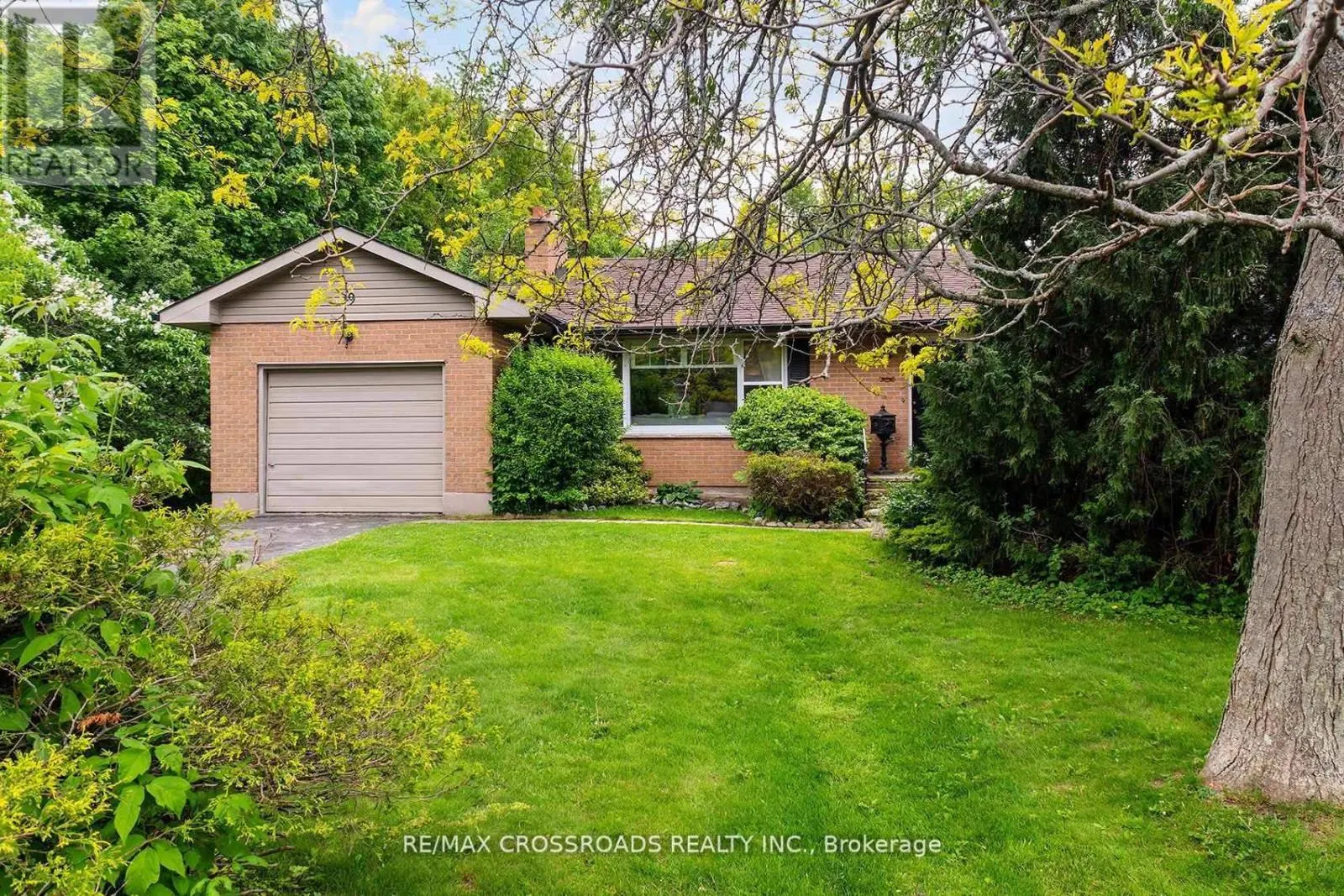 19 ORCHARD AVENUE