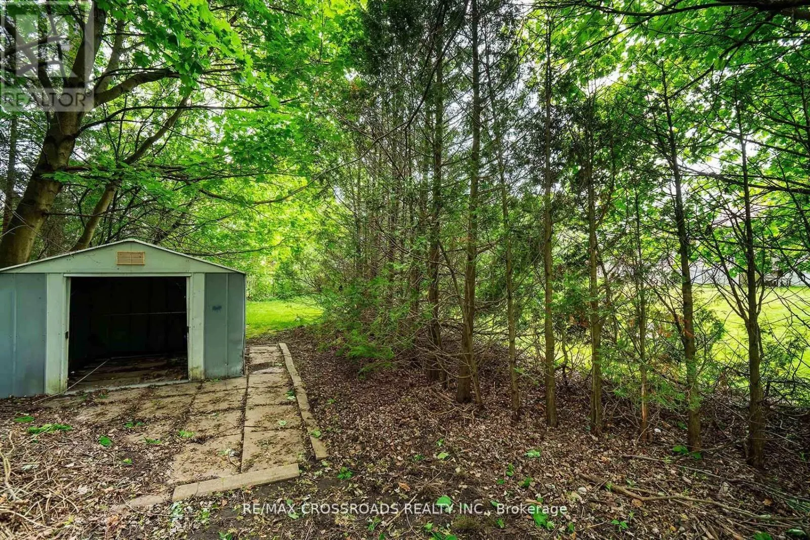 19 ORCHARD AVENUE