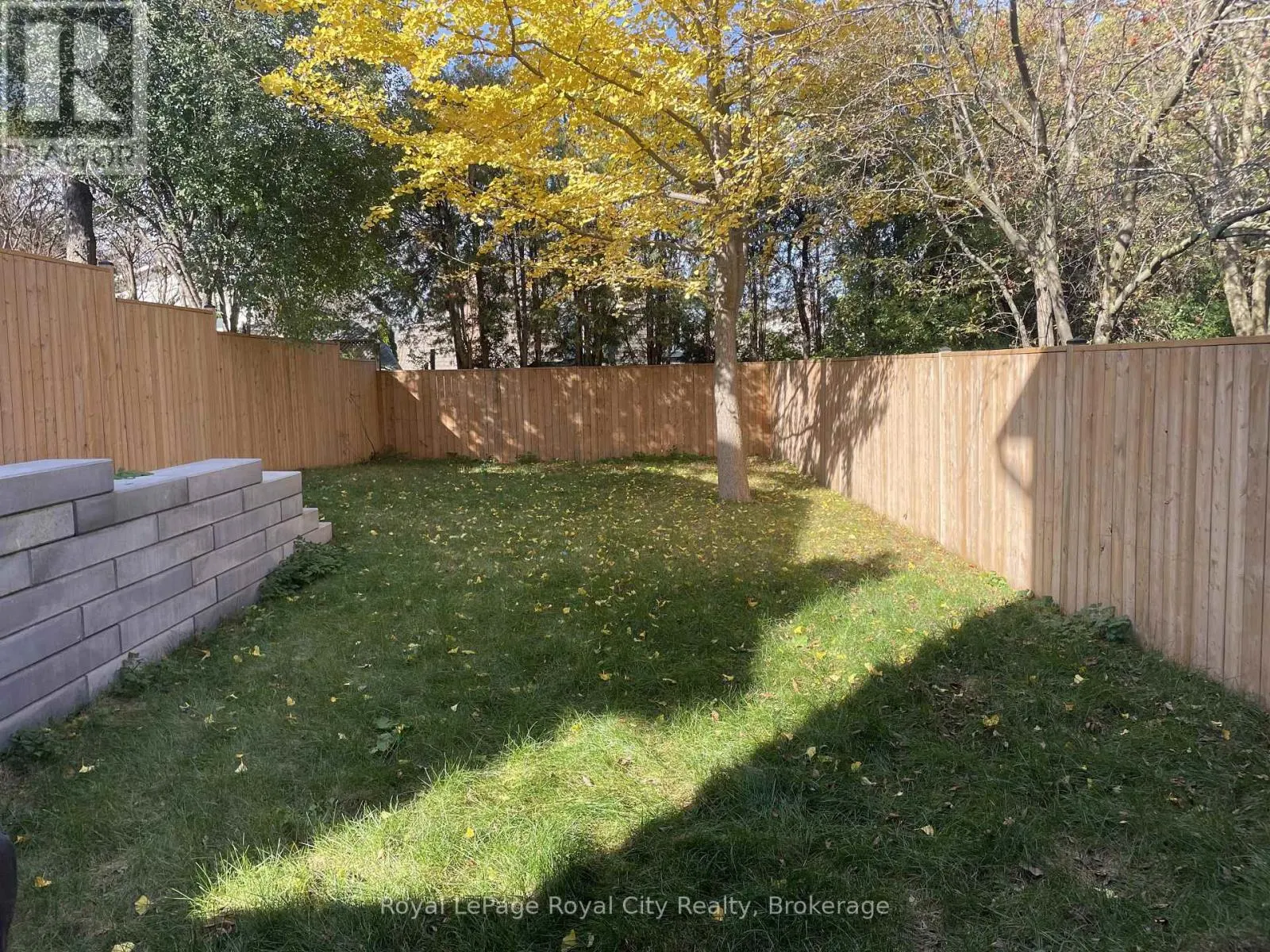 555 WILLOW ROAD