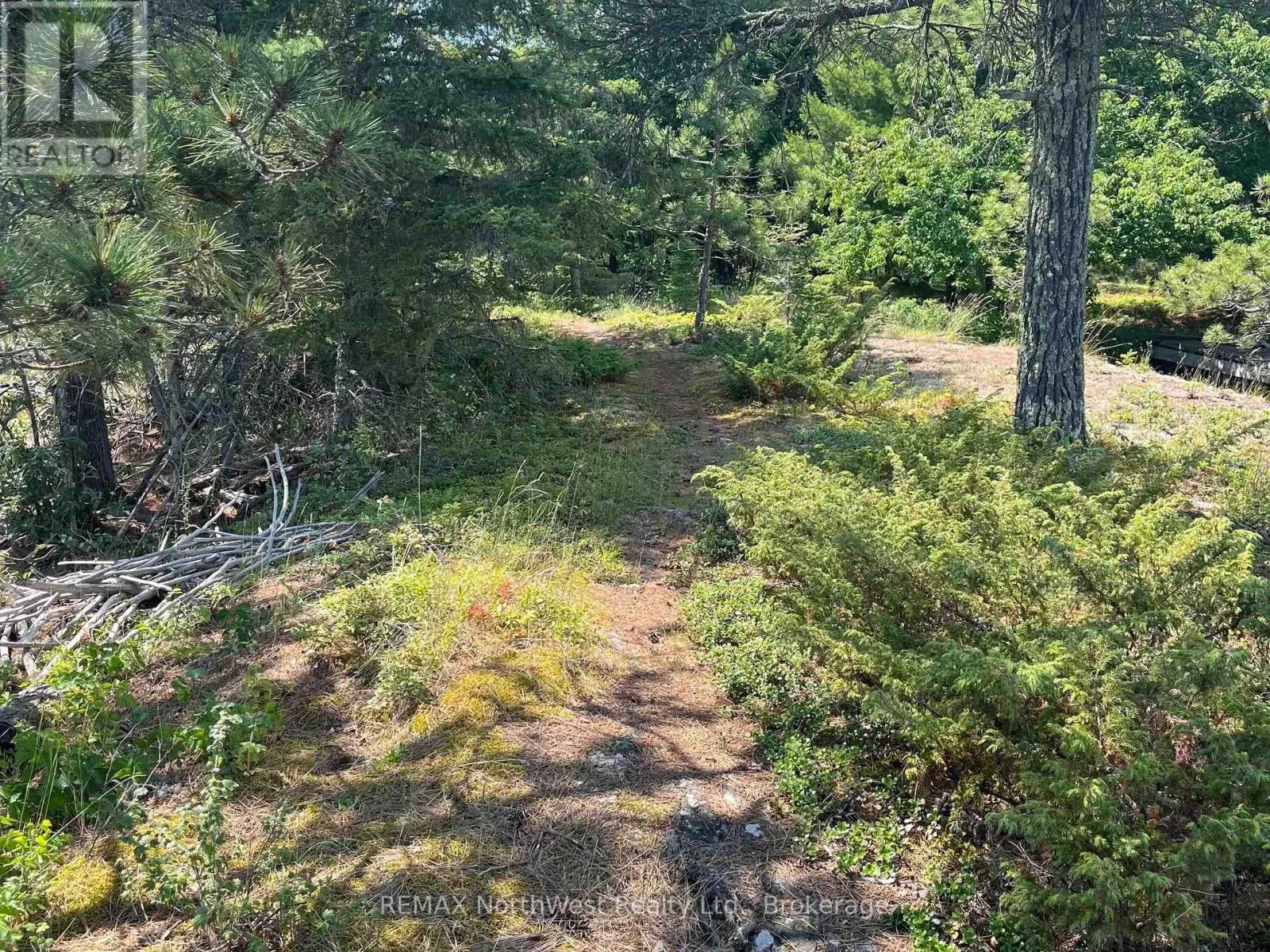 RAINY LAKE - 1 RED PINE ISLAND #Rainy Lake