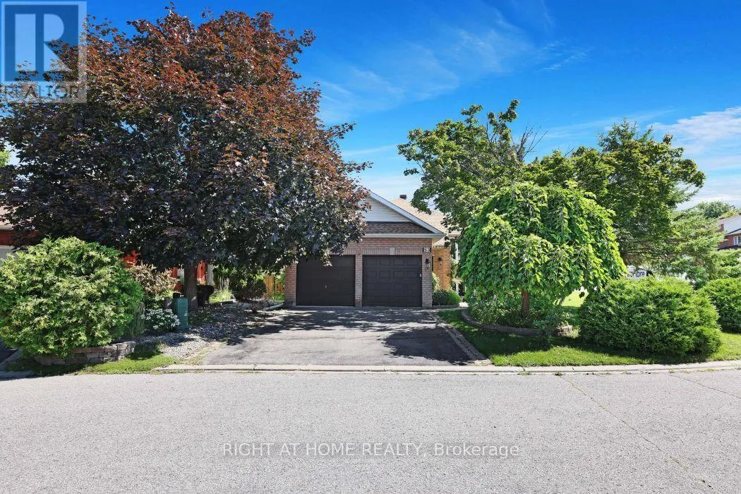 53 YOHO DRIVE