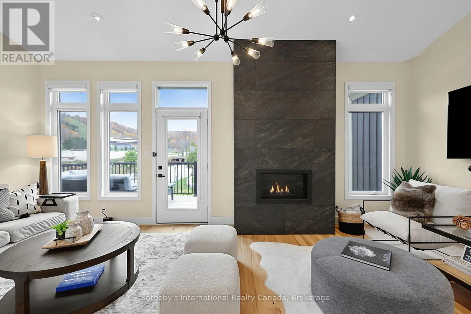 1 - 107 ALPINE SPRINGS COURT #1