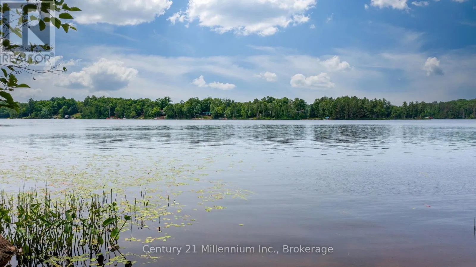 0 WHALLEY LAKE ROAD
