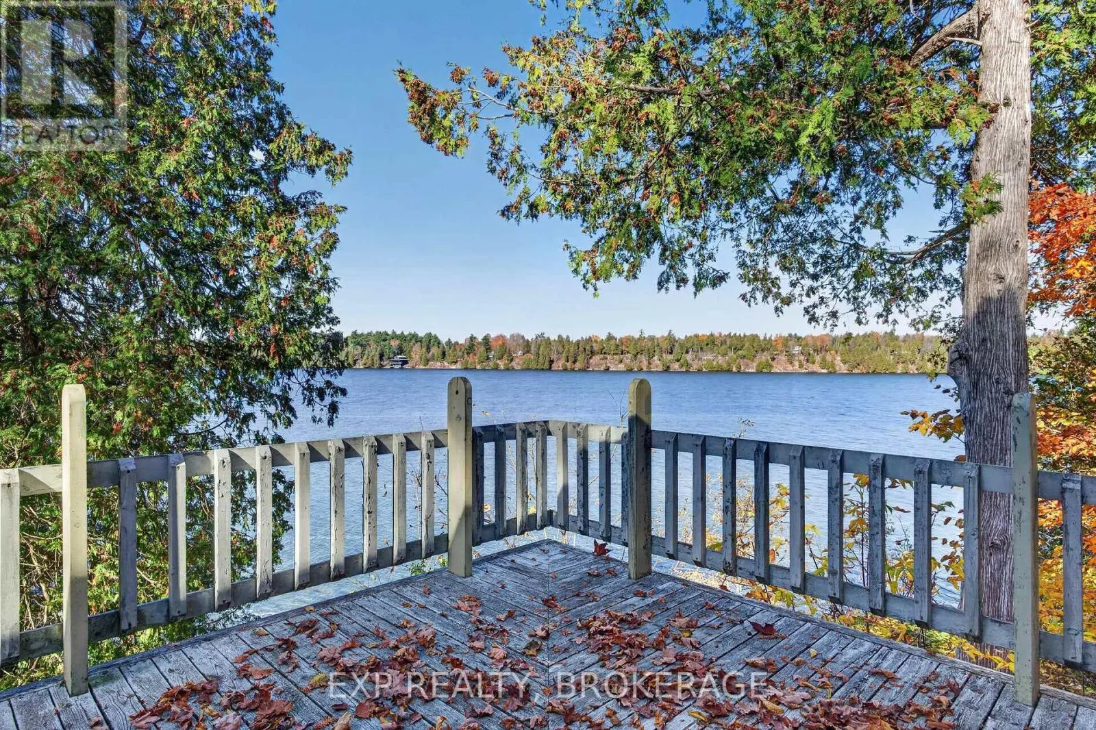 1008 MOCKINGBIRD LANE