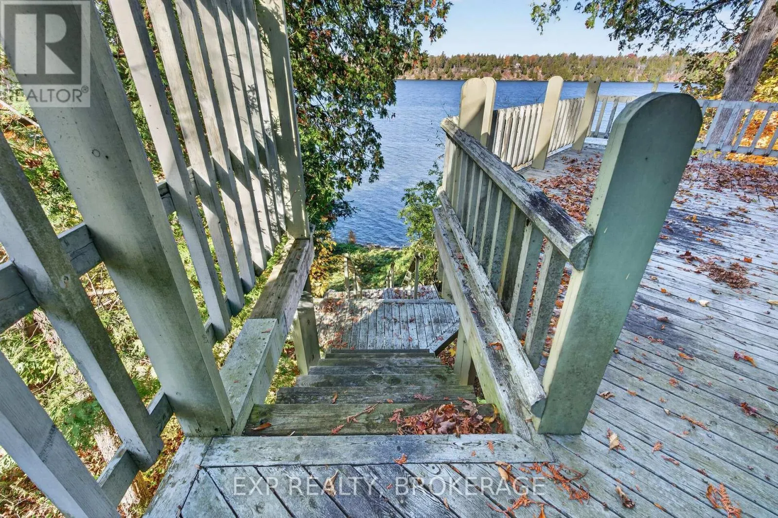 1008 MOCKINGBIRD LANE