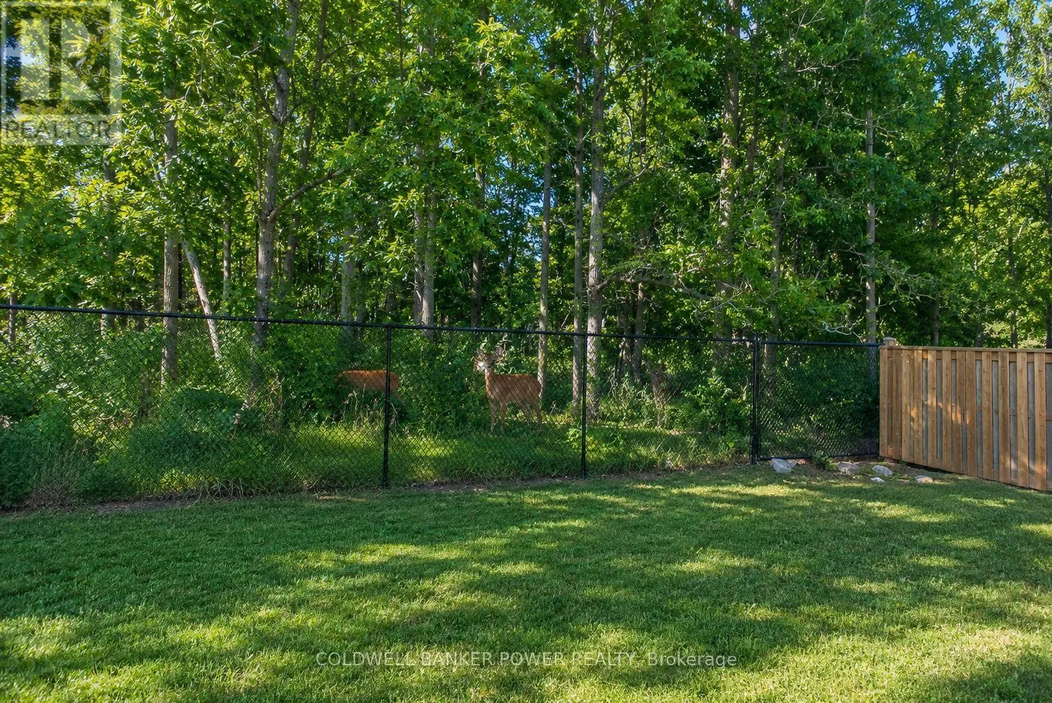 2202 TRIPP DRIVE