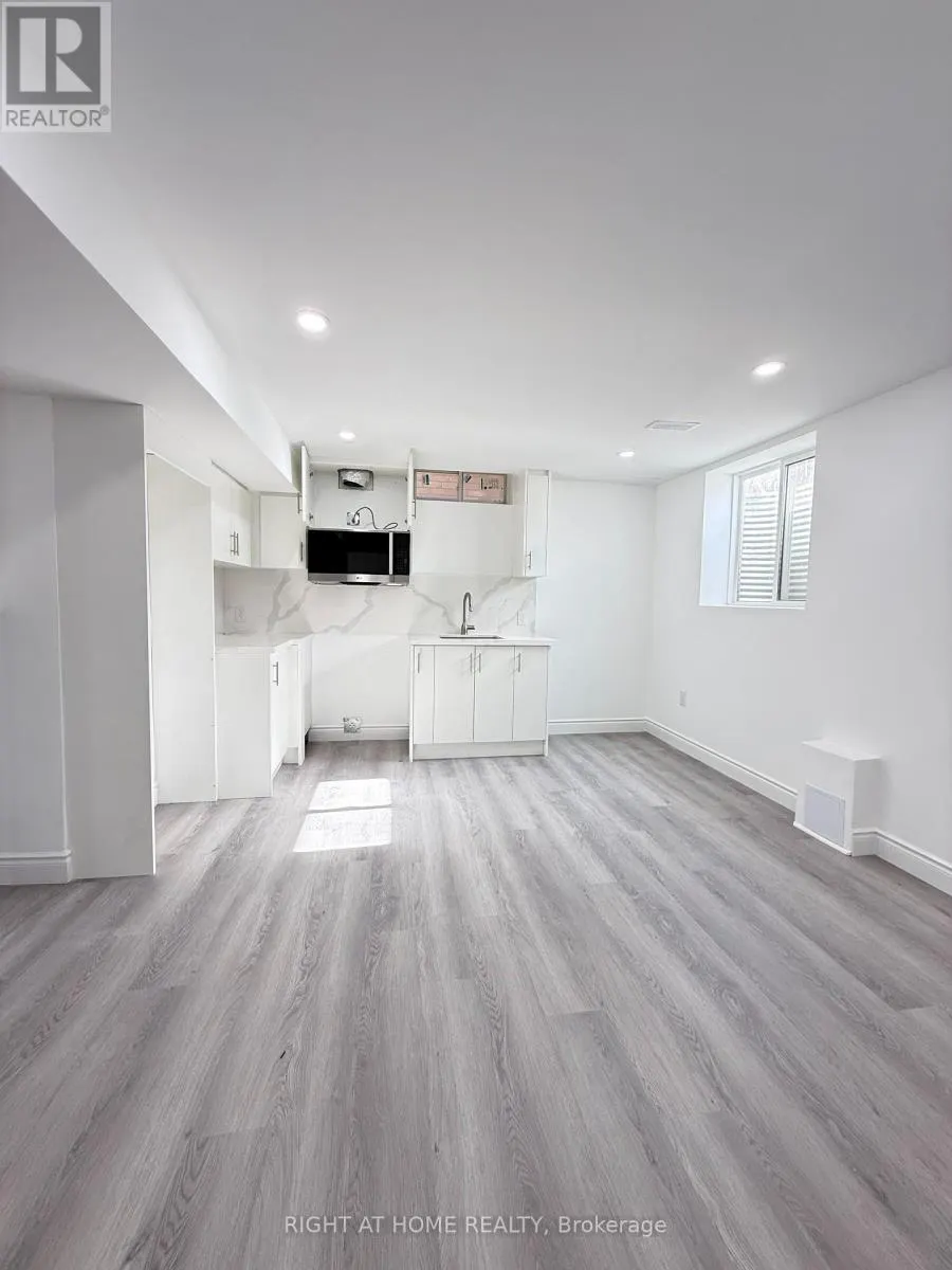 BASEMENT - 42 WHISTLER STREET