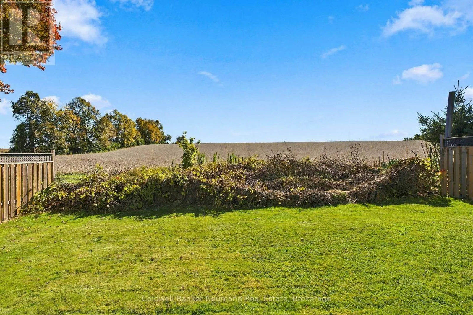 58 PHEASANT RUN DRIVE