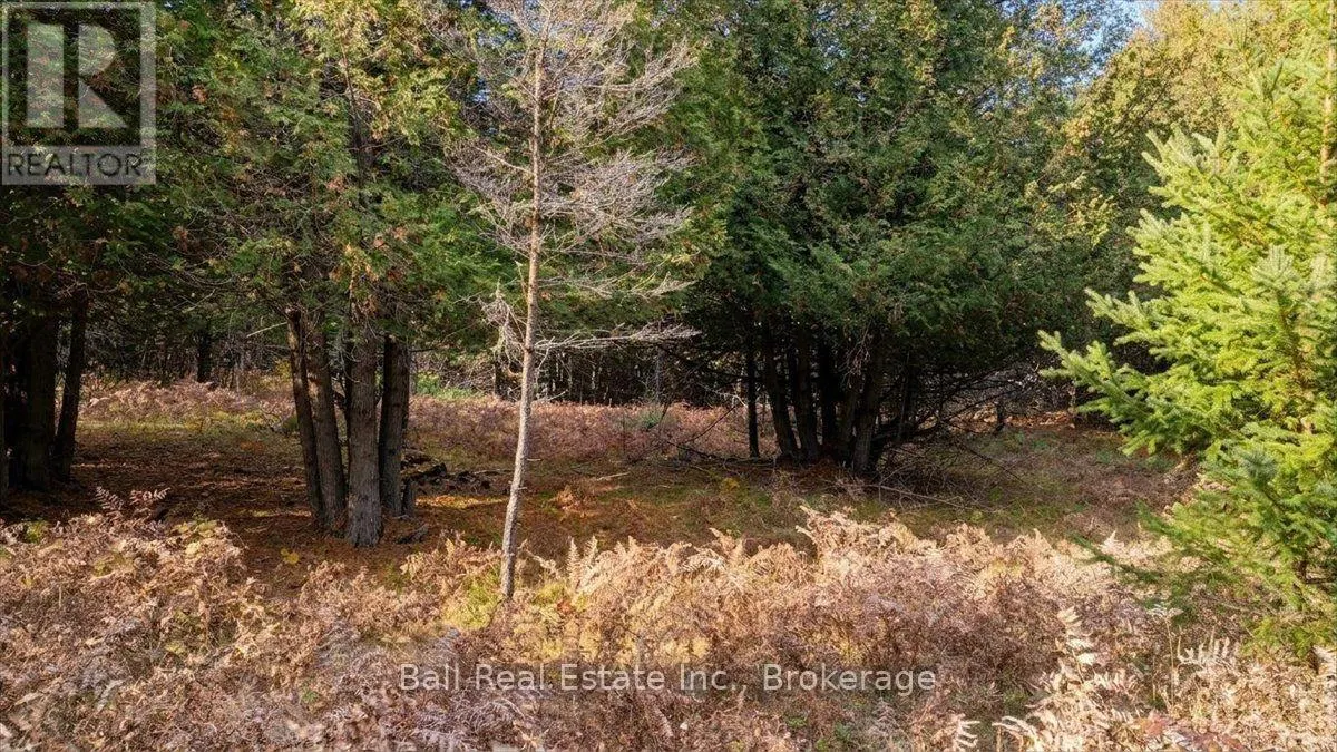 746 ST OLA ROAD
