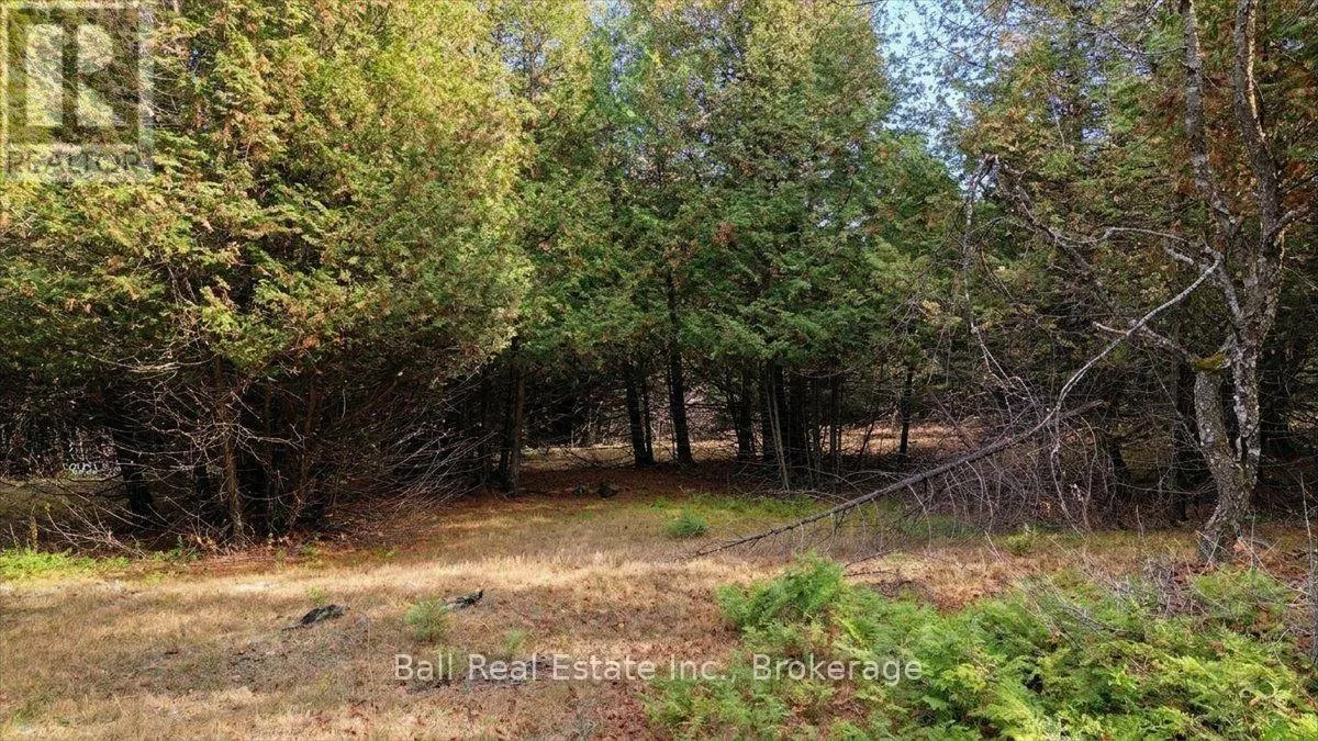 746 ST OLA ROAD