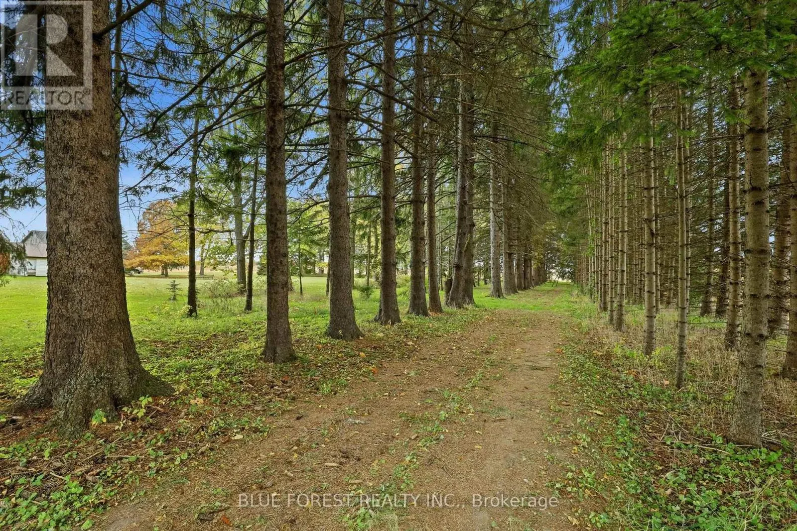 22445 FAIRVIEW ROAD
