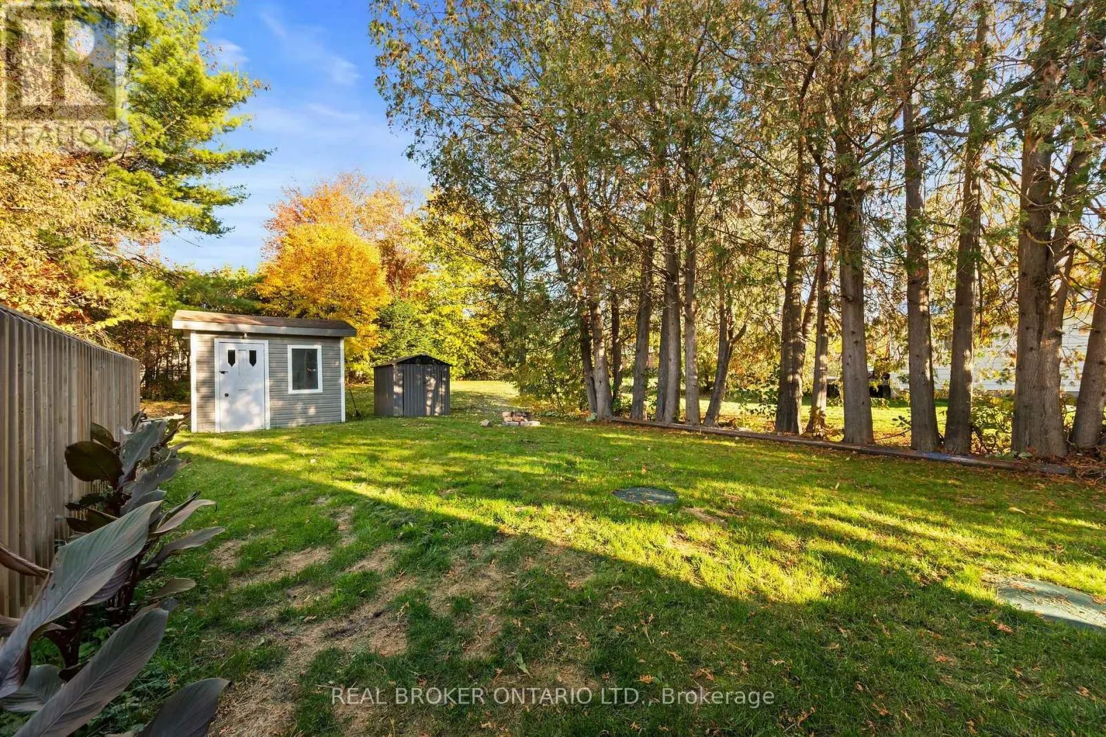 3561 TRIM ROAD